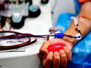 成人献血视频教程大全,视频教程大全精华汇总