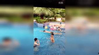怎么学游泳成人教学视频,成人游泳教学视频攻略