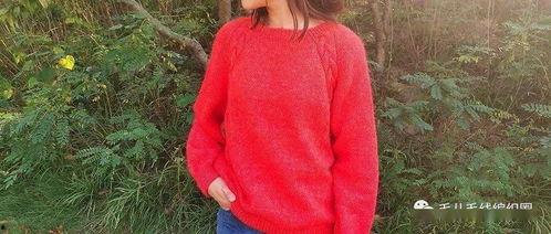 成人基础款毛衣教程视频,轻松学会编织技巧