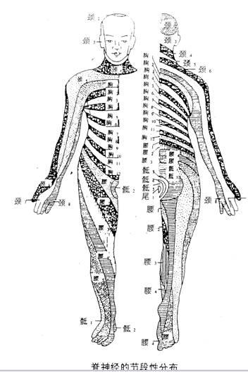 成人捏脊法动作要领视频,轻松掌握健康养生之道