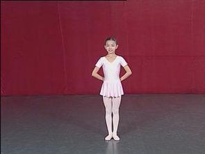 成人学唱视频教学大全,成人学唱视频教学大全攻略