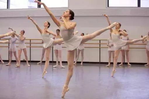 成人动物帅气舞蹈图片视频,成人动物帅气舞蹈瞬间集锦