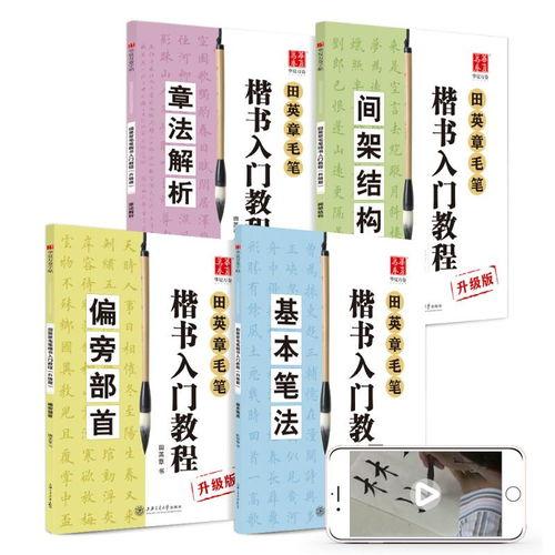 练字成人教程视频新手,新手入门必备步骤解析