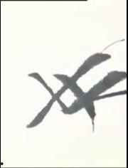 真实成人练字视频大全,跟随真实成人练字视频大全，轻松掌握书法之美