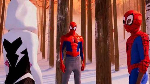 蜘蛛有变成人吗视频大全,揭秘神秘视频大全