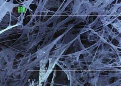 如何合成人造蛛丝呢视频,从视频学习高效制备方法