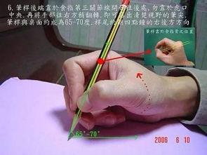 钢笔成人握姿姿势视频,成人标准握笔技巧解析