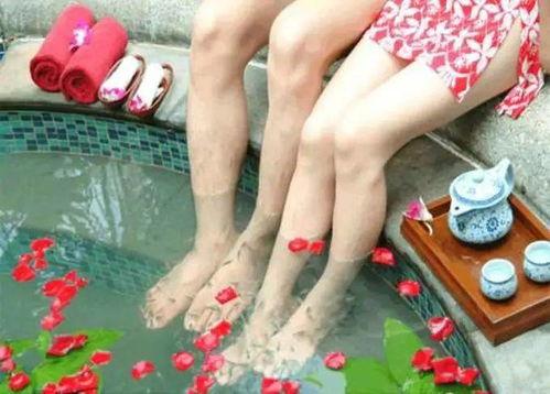 成人乐园吃鱼视频