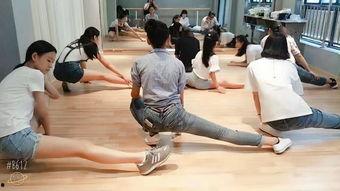 拉丁成人团舞视频大全,视频大全中的舞动盛宴