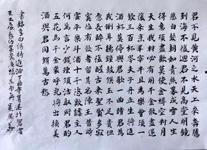成人班练字视频,轻松掌握书法之美