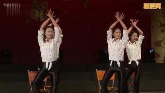 成人新舞蹈视频教学大全,成人舞蹈入门与进阶指南