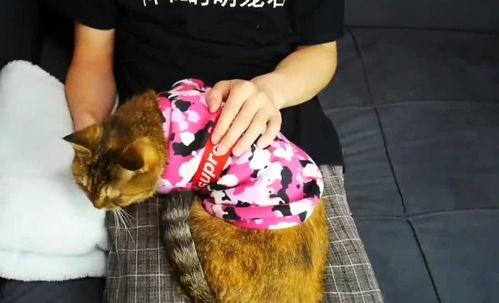 成人剪指甲视频教学图片,图文并茂教学解析