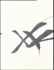 真实成人练字视频大全,跟随真实成人练字视频大全，轻松掌握书法之美