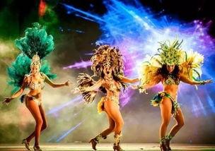 桑巴成人简单组合视频,轻松学会成人简单组合