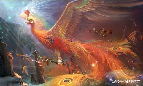 凤凰化成人生宝宝动画视频