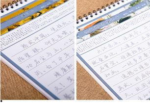 成人练字大师教学视频,解锁书法之美，提升书写境界