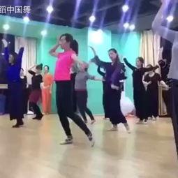 袁老师成人舞蹈视频,轻松入门，舞动人生新篇章