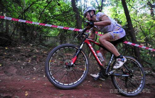 成人直行车教学视频全集,轻松掌握骑行技巧