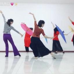 成人舞蹈讲课视频教程,跟随视频学习成人舞蹈技巧与魅力