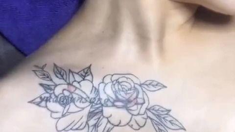 成人刺青蝴蝶小视频大全,成人小视频集锦赏析